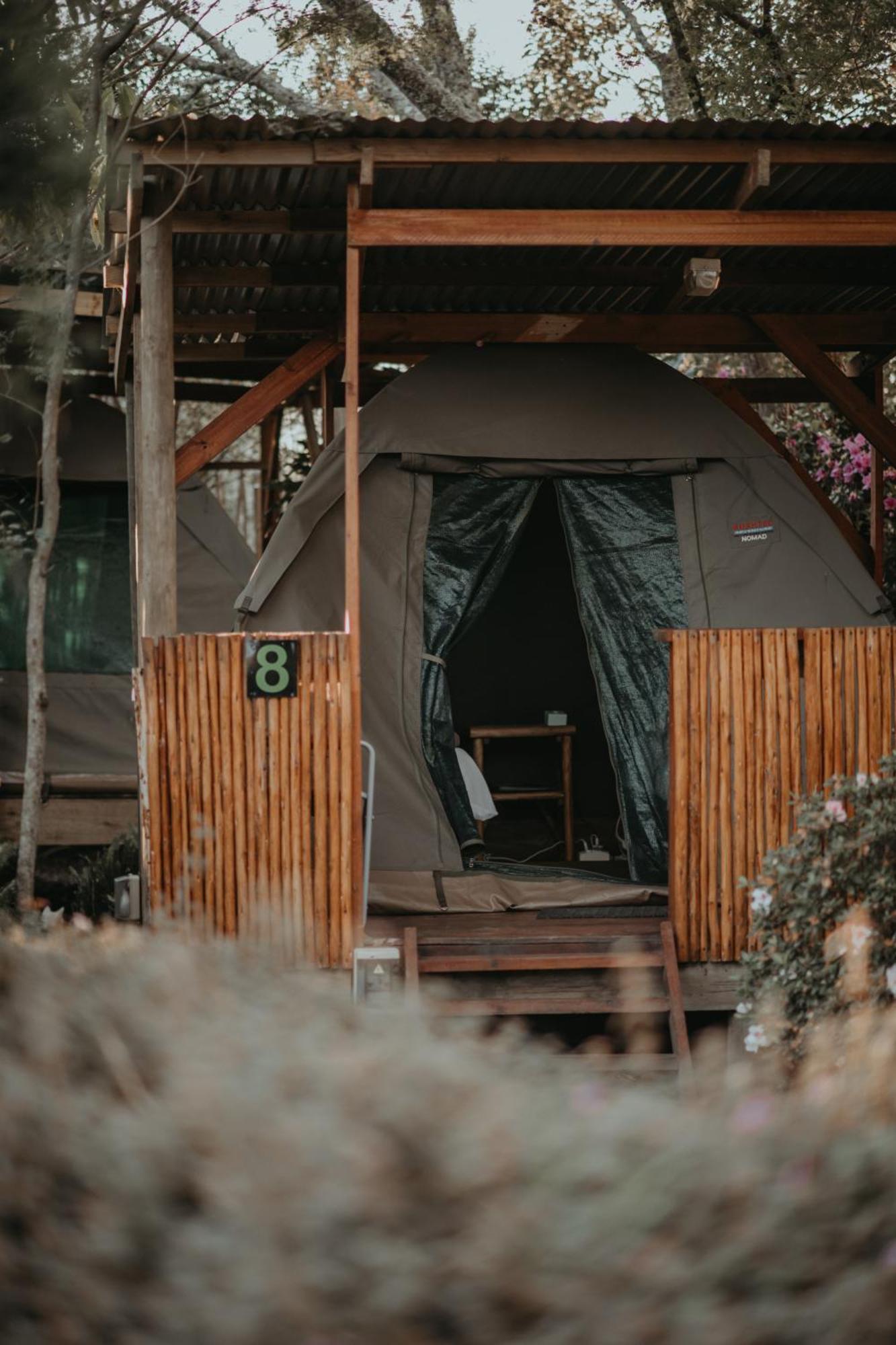 Storms River Forest Lodge Stormsrivier Exteriör bild