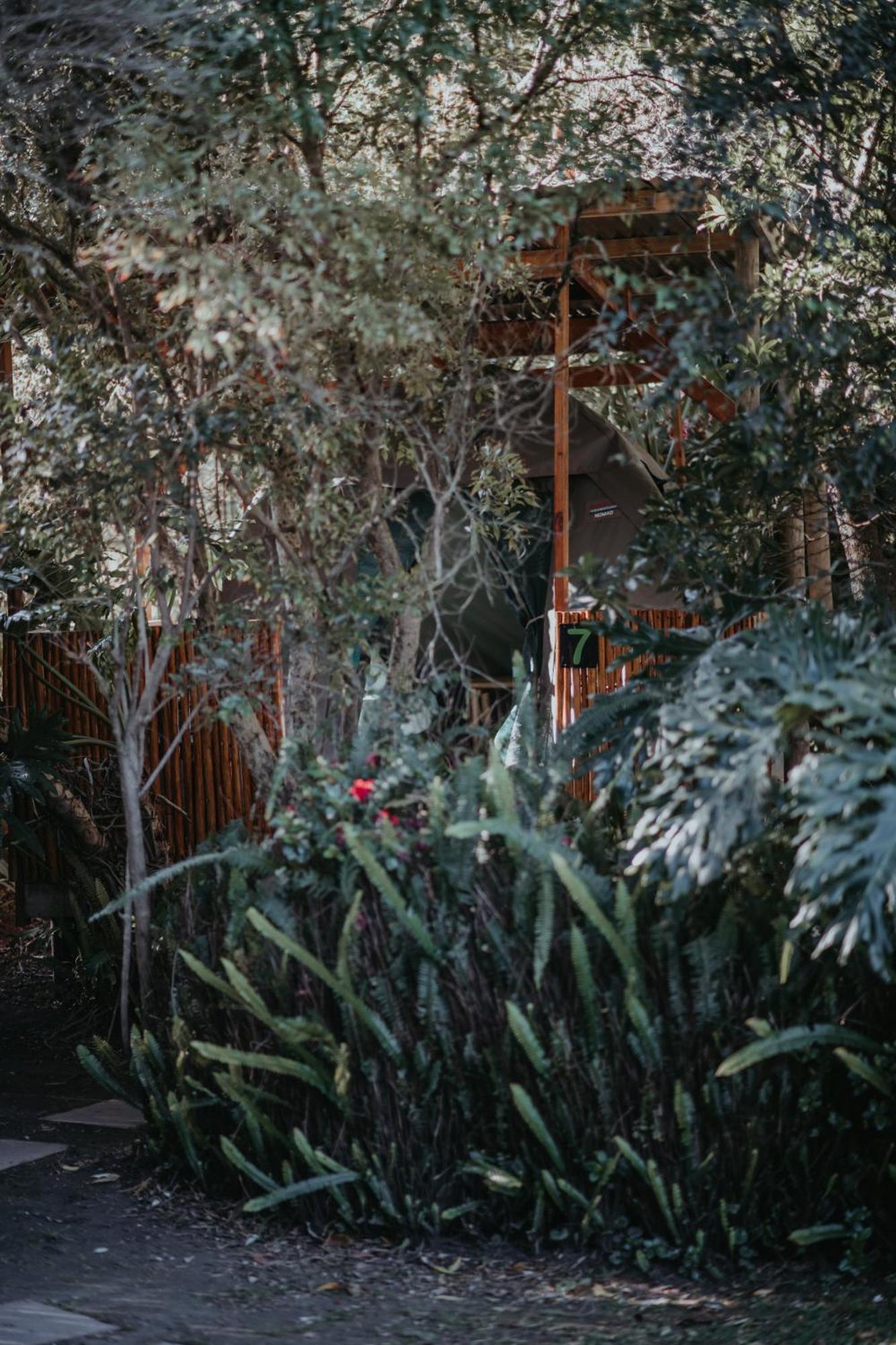 Storms River Forest Lodge Stormsrivier Exteriör bild