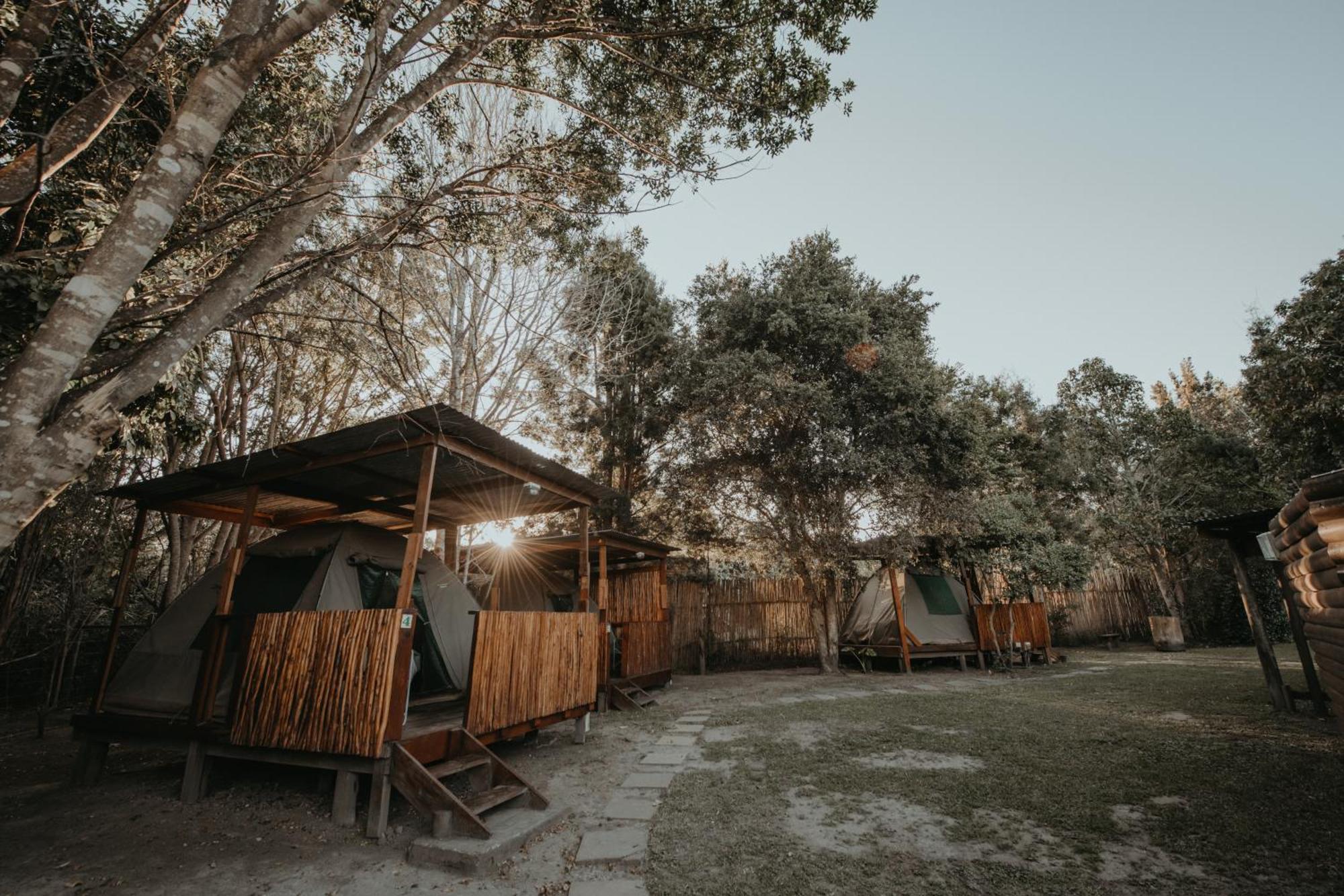 Storms River Forest Lodge Stormsrivier Exteriör bild
